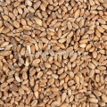 Пшеница на 200 л браги/40кг